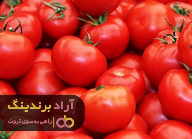 با دید عمیقی که داشتم درآمدم چند برابر شد با دید عمیقی که داشتم درآمدم چند برابر شد