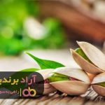 در حوزه پسته با هدف گذاری به ثروت رسیدم