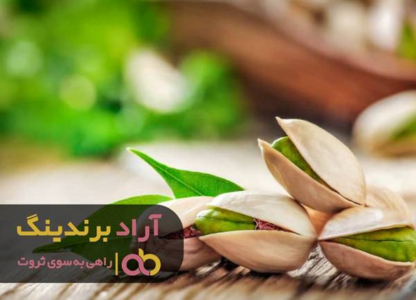 در حوزه پسته با هدف گذاری به ثروت رسیدم