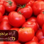 با دید عمیقی که داشتم درآمدم چند برابر شد با دید عمیقی که داشتم درآمدم چند برابر شد