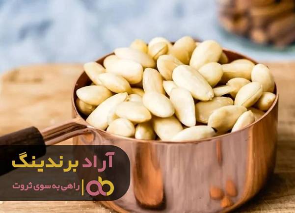 تمام لباس هایم بوی ثروت می دهد