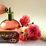 بهشت موفقیت را فتح کردم بهشت موفقیت را فتح کردم