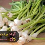 مسیر ثروت را شخم زده و به گنج رسیدم مسیر ثروت را شخم زده و به گنج رسیدم