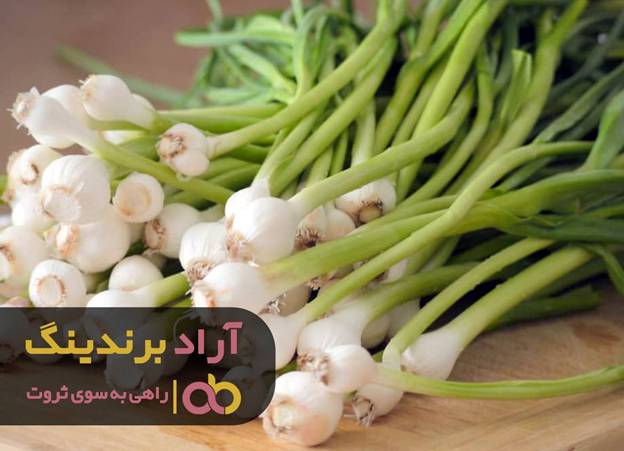 مسیر ثروت را شخم زده و به گنج رسیدم مسیر ثروت را شخم زده و به گنج رسیدم