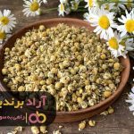 ایده های پول درآوردن از فضای مجازی و حقیقی