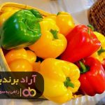 دیوار موفقیت را شکستم و پا به دنیای ثروت گذاشتم