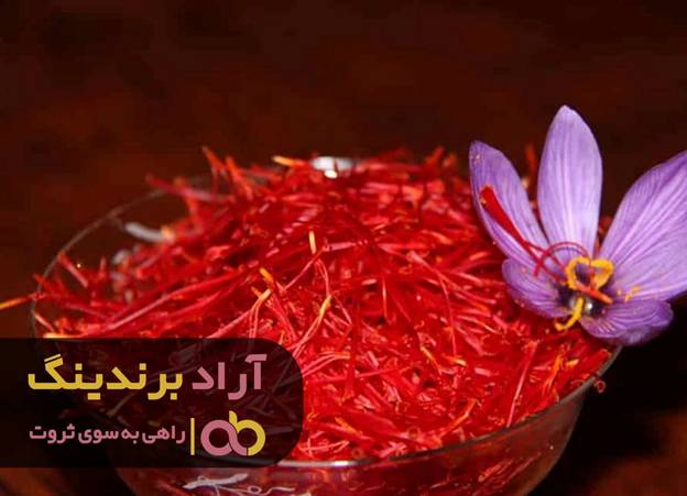 بی پولی زندگی ام را از نو ساخت و ثروتمندم کرد بی پولی زندگی ام را از نو ساخت و ثروتمندم کرد