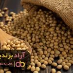 یک شبه راه صد ساله را طی کردم یک شبه راه صد ساله را طی کردم