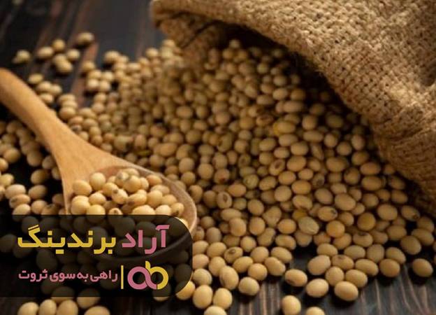 یک شبه راه صد ساله را طی کردم یک شبه راه صد ساله را طی کردم