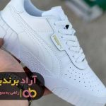کفش ثروتمند شدن را به پا کردم و میلیاردر شدم کفش ثروتمند شدن را به پا کردم و میلیاردر شدم