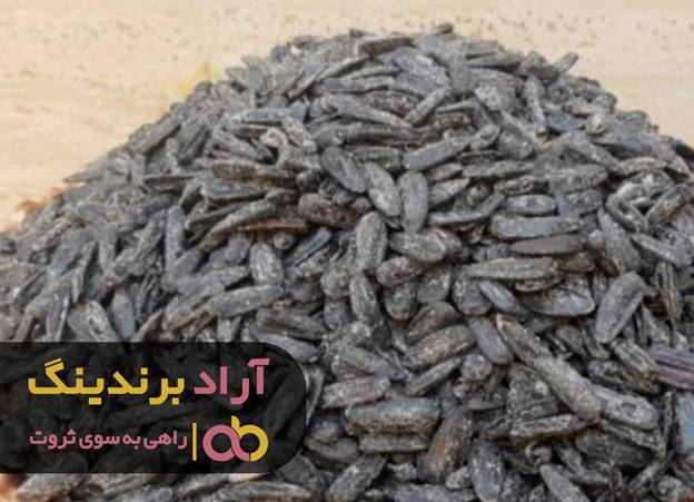 کاسبی ام را با این محصول رونق دادم کاسبی ام را با این محصول رونق دادم