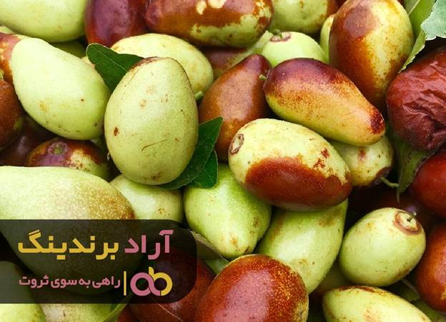 با این روش در دریای پول ‌سازی ثروت را صید کردم