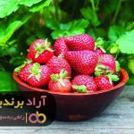 با غلبه بر چالشهای شغلیام میلیاردر شدم با غلبه بر چالشهای شغلیام میلیاردر شدم