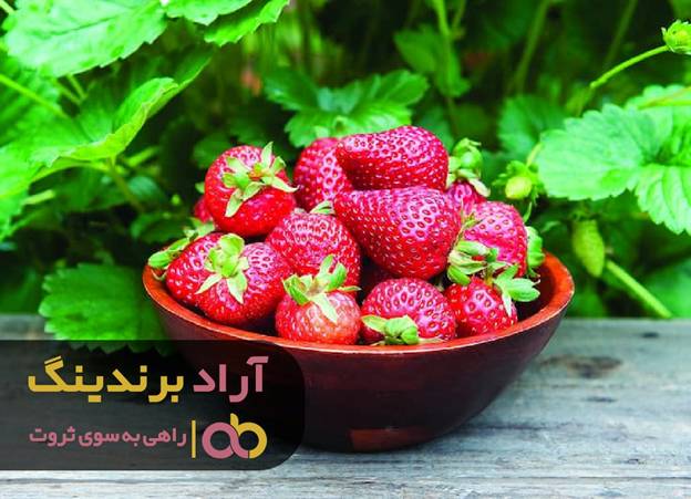 با غلبه بر چالشهای شغلیام میلیاردر شدم با غلبه بر چالشهای شغلیام میلیاردر شدم