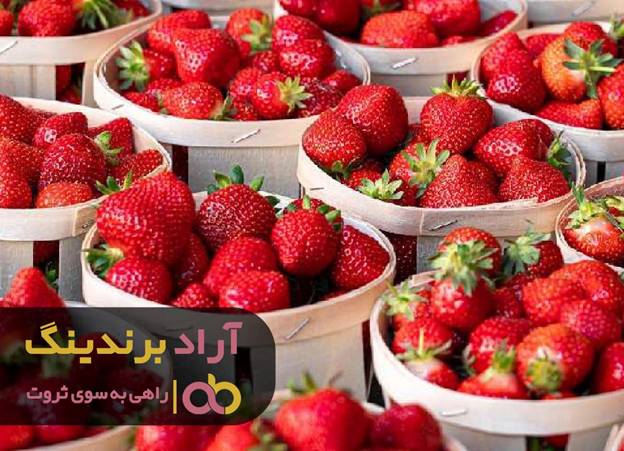 با کسب دانش و مهارت در حوزه توت فرنگی ثروتمند شدم با کسب دانش و مهارت در حوزه توت فرنگی ثروتمند شدم