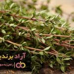 با آشنایی با این محصول ثروت عظیمی را تجربه کردم با آشنایی با این محصول ثروت عظیمی را تجربه کردم