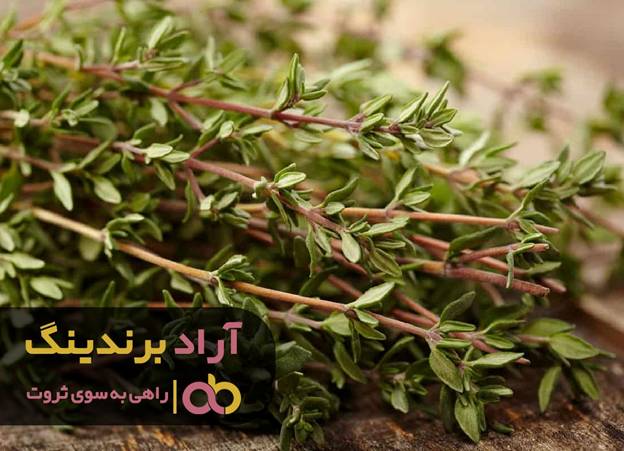 با آشنایی با این محصول ثروت عظیمی را تجربه کردم با آشنایی با این محصول ثروت عظیمی را تجربه کردم