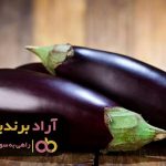 چگونه بادمجان سریع رشد می کند؟