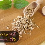 با دنبال کردن علایق خود کلید ثروتمند شدن را بیابید با دنبال کردن علایق خود کلید ثروتمند شدن را بیابید