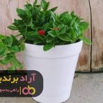 به آسانی میلیاردر شوید به آسانی میلیاردر شوید