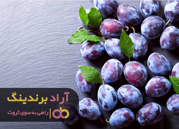 عاقلانه تصمیم گرفتم و ثروتمند شدم image002 14 - عاقلانه تصمیم گرفتم و ثروتمند شدم