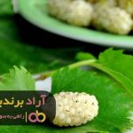 بهترین مسیر دستیابی به ثروت را با توت کشف کردم بهترین مسیر دستیابی به ثروت را با توت کشف کردم