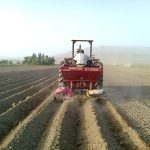 الگوی کشت؛ طرحی فراقوهای الگوی کشت؛ طرحی فراقوهای