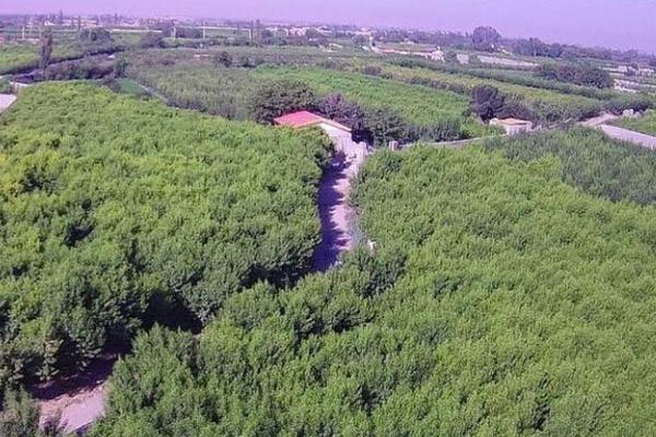 وضعیت آب و هوایی روستای نمکلان