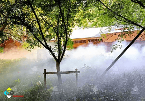 images_1689858017_64b92fe172df7.png