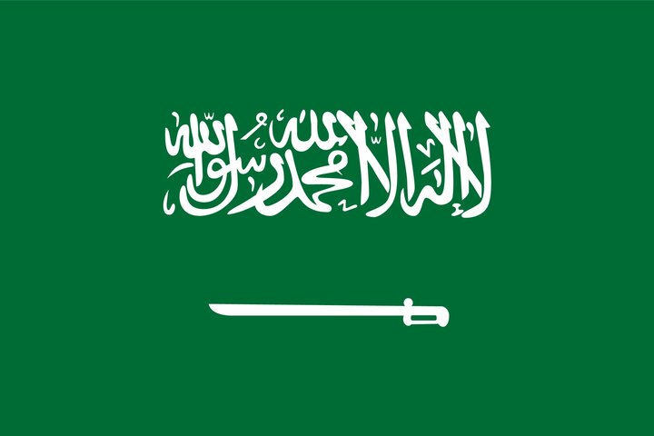 دستگیری بیش از ۲۰۰۰ نفر در عربستان به خاطر نقض قانون کار دستگیری بیش از ۲۰۰۰ نفر در عربستان به خاطر نقض قانون کار