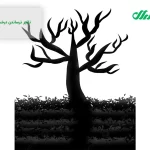 ترساندن درخت گردو چه ارتباطی با هرس آن دارد؟ ترساندن درخت گردو چه ارتباطی با هرس آن دارد؟
