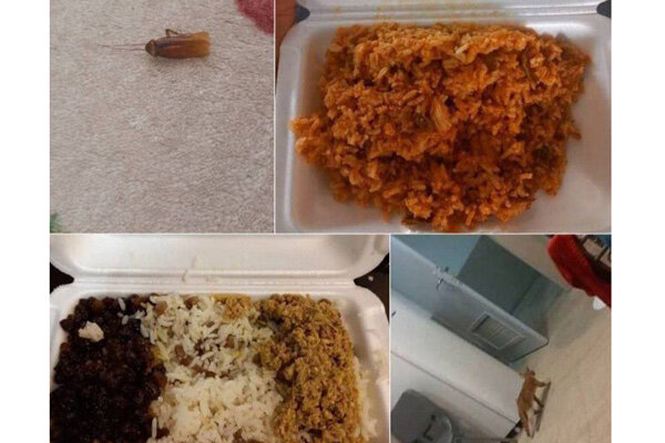 واکنش سرپرست فدراسیون به انتقاد ازسوسک درغذا وگربه دراتاق ورزشکار واکنش سرپرست فدراسیون به انتقاد ازسوسک درغذا وگربه دراتاق ورزشکار