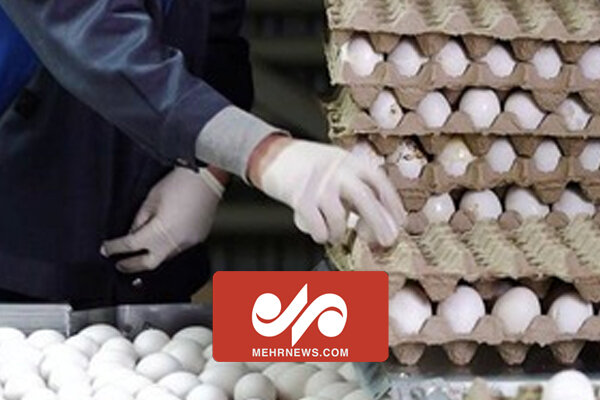 قیمت‌سازی شبکه معاند لندنی برای بازار تخم مرغ