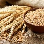 نرخ هر کیلو گندم برای خرید تضمینی ۱۹.۵۰۰ تومان تعیین شد نرخ هر کیلو گندم برای خرید تضمینی ۱۹.۵۰۰ تومان تعیین شد
