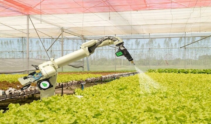 تدوین احداث ۳۰هزار هکتار باغهای مکانیزه در مناطق کمتر برخوردار تدوین احداث ۳۰هزار هکتار باغهای مکانیزه در مناطق کمتر برخوردار