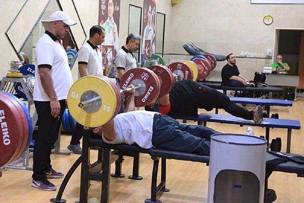 ۷ پاراوزنهبردار به اردوی تیم ملی دعوت شدند ۷ پاراوزنهبردار به اردوی تیم ملی دعوت شدند