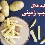 همه چیز درباره خط تولید خلال سیب زمینی نیمه آماده از نگاه تیم البرز ماشین کرج