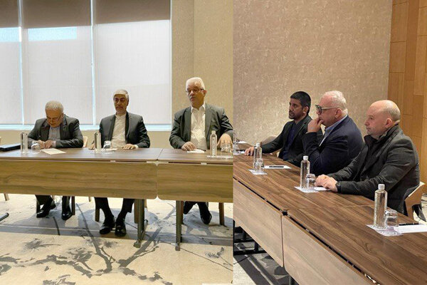 هاشمی: حامی اتحادیه جهانی کشتی خواهیم بود هاشمی: حامی اتحادیه جهانی کشتی خواهیم بود