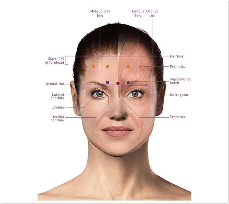 images_1703762156_658d58eca03b6.png