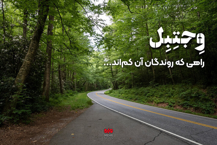 وضعیت اخلاقی آلمان و کانادا وضعیت اخلاقی آلمان و کانادا