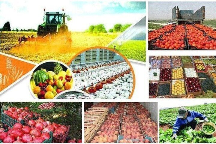 ۴۲ درصد صادرات ایران به اوراسیا، محصولات غذایی و کشاورزی است ۴۲ درصد صادرات ایران به اوراسیا، محصولات غذایی و کشاورزی است