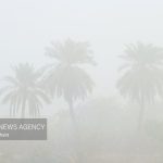 هوای ۵ شهر خوزستان «ناسالم» اعلام شد