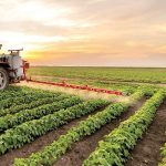 تخمین سطح زیرکشت ۱۳ محصول راهبردی کشاورزی کشور با هوش مصنوعی