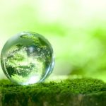 پویش با زمین مهربان باشیم به اجرا در آمد پویش با زمین مهربان باشیم به اجرا در آمد