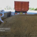تمهیدات لازم برای نگهداری دسترنج کشاورزان خوزستانی درنظر گرفته شد تمهیدات لازم برای نگهداری دسترنج کشاورزان خوزستانی درنظر گرفته شد