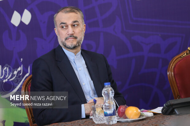 حمایت از ایرانیان خارج از کشور از دغدغههای مهم دولت است حمایت از ایرانیان خارج از کشور از دغدغههای مهم دولت است