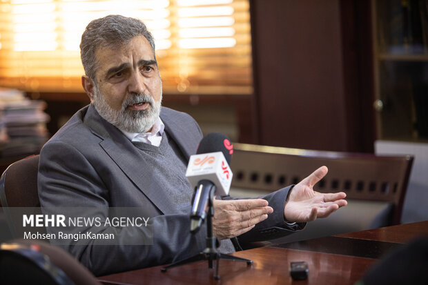 کمالوندی: ایران مقابل فشارهای سیاسی از حقوق خود کوتاه نمیآید کمالوندی: ایران مقابل فشارهای سیاسی از حقوق خود کوتاه نمیآید