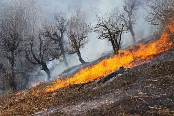 بیش از ۳۹۰ هکتار از اراضی و جنگلهای خوزستان خسارت دیدند بیش از ۳۹۰ هکتار از اراضی و جنگلهای خوزستان خسارت دیدند