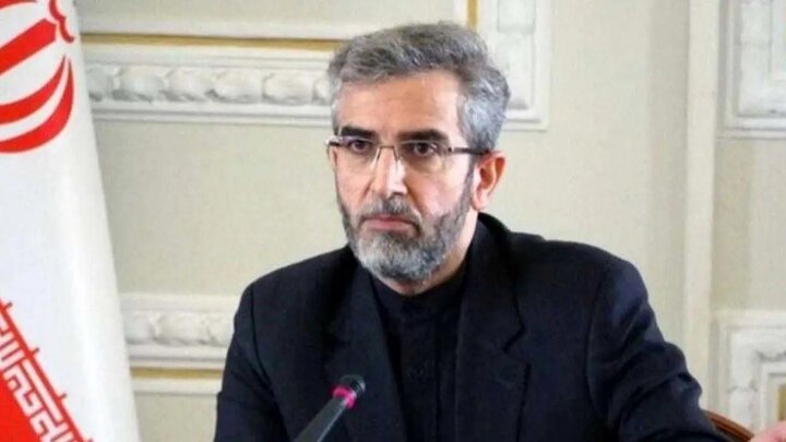 اعضای «دی ۸» اعتقادی به مسامحه در برابر رژیم صهیونیستی ندارند اعضای «دی ۸» اعتقادی به مسامحه در برابر رژیم صهیونیستی ندارند