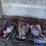 وضعیت بغرنج سه قلوهای فلسطینی در شمال غزه به دلیل گرسنگی وضعیت بغرنج سه قلوهای فلسطینی در شمال غزه به دلیل گرسنگی